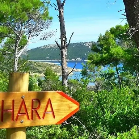 696-6 For 2+2 Pers. In Daire