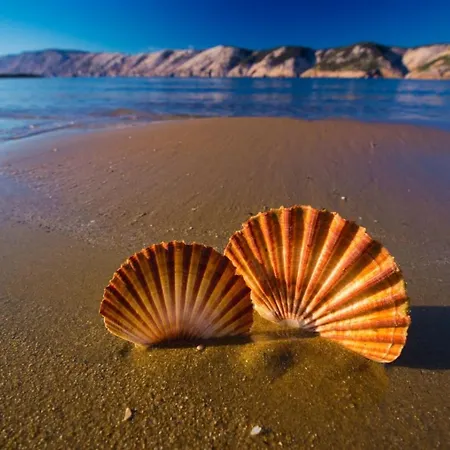 696-6 For 2+2 Pers. In Daire Lopar